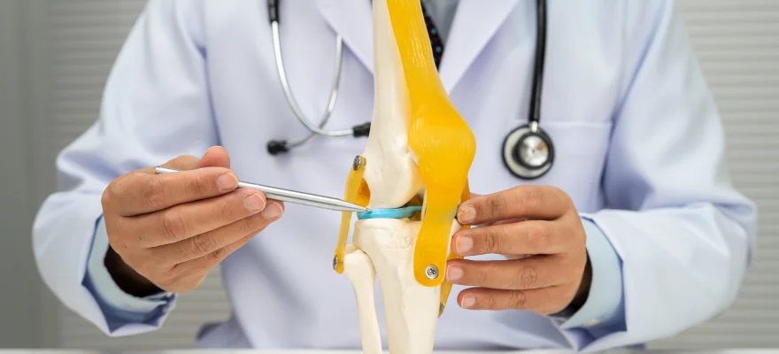 O papel do ácido hialurônico de alto peso molecular como “lubrificante” articular